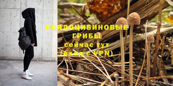 не бодяженный Гусев