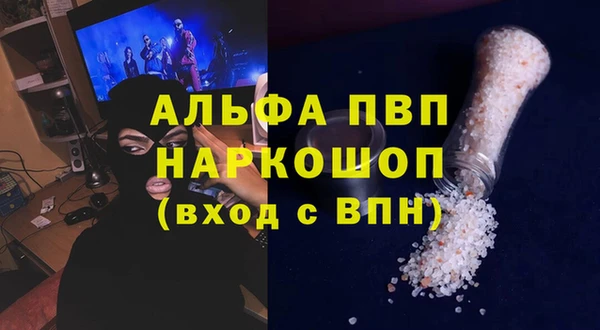 амф Гусиноозёрск
