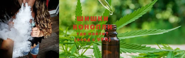 амф Гусиноозёрск