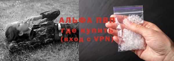 амф Гусиноозёрск