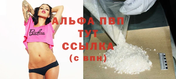 амф Гусиноозёрск