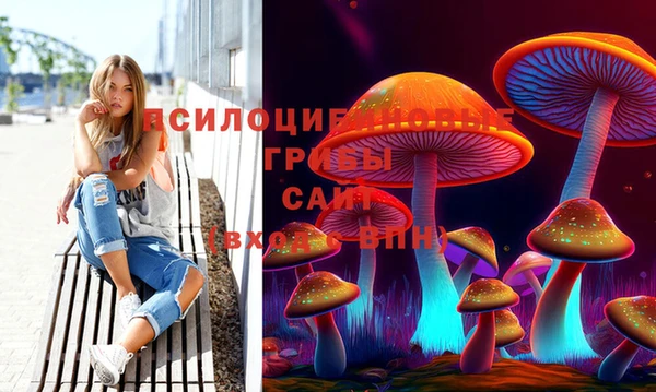 герыч Гусь-Хрустальный