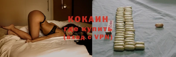 не бодяженный Гусев