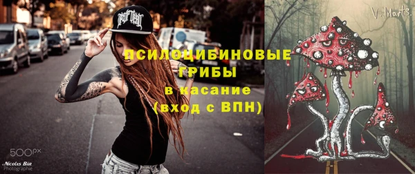 герыч Гусь-Хрустальный