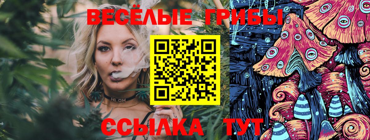 Псилоцибиновые грибы мицелий Нурлат