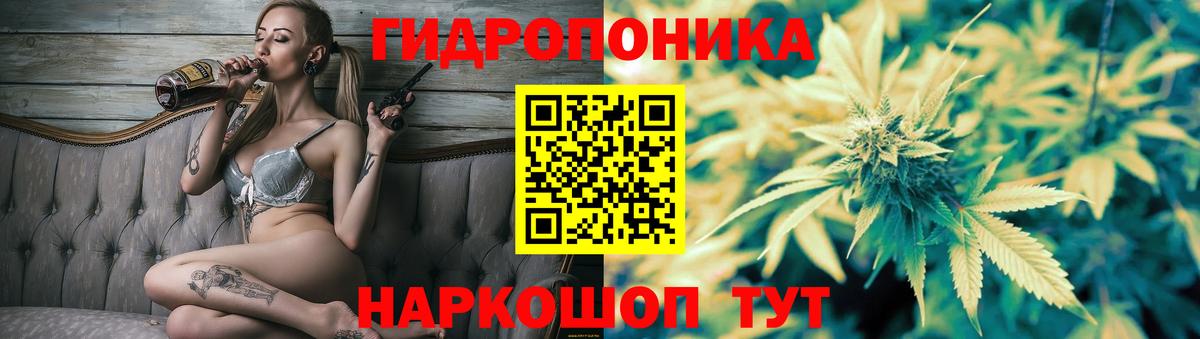 МАРИХУАНА планчик  Каннабис план  Конопля индика  Вход с VPN  Нурлат 